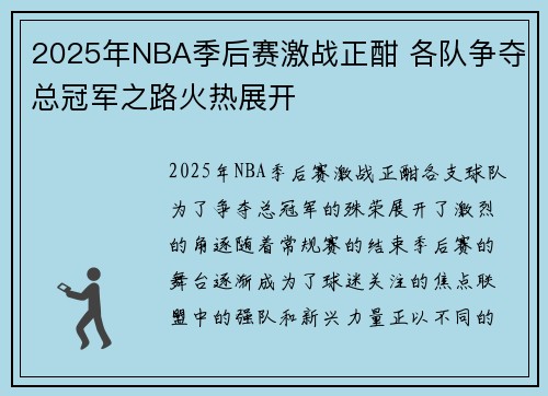 2025年NBA季后赛激战正酣 各队争夺总冠军之路火热展开