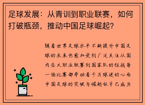 足球发展：从青训到职业联赛，如何打破瓶颈，推动中国足球崛起？